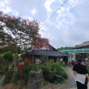 울산 청량읍 보리밥 레스토랑