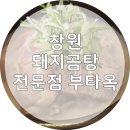 조신한돼지 이미지