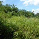 고미마을회관 이미지