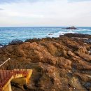 힐링낚시까페 이미지