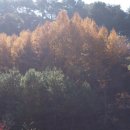 덕정초등학교 이미지