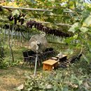 청양금강농장 이미지