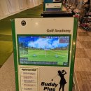 버디스크린골프 이미지
