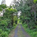 내고2농로 이미지