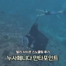 태양부분정비 | 발리 사누르 액티비티 | 누사페니다 만타포인트 스노쿨링 투어 후기 (만타가오리 봄!)