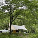 나무그늘 밑의 휴식 | 강원도 영월 캠핑장 :: 시원한 나무 그늘 넓은 사이트에서 여유 즐길수있는 영월약수터캠핑장