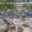 욱이농장 이미지