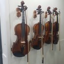 현악 앙상블(바이올린) 이미지