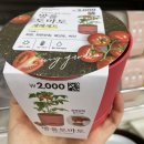 다이소 남천점 이미지