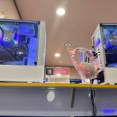 아이센스PC방 | 시설 좋은 pc방추천ㅣ아이센스 블랙라벨 pc방 시흥배곧점 후기 (+탕수육, 짜장밥세트) , 커플석 후기