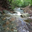 계곡의아침 이미지