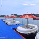 커피콩 | 강릉 오죽헌 뱃놀이 커피콩보트 당일티켓 탑승 후기