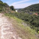 전원오토캠핑장 이미지