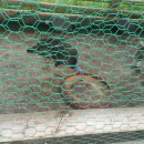 홍천목장 이미지