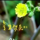 퍼플여행 이미지