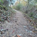 가창 누리길 이미지