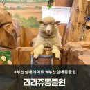 새까만꿀꿀이 | 부산 실내데이트 다시찾은 라라쥬 동물원