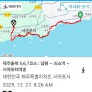 제주 삼도파초일엽 자생지 | 제주올레 5,6,7코스 : 남원 ~ 쇠소깍 ~ 서귀포터미널 (2025.12.27.)