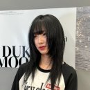 헤어-덕(HAIR-DUCK)