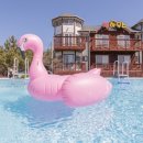 썬하우스 이미지