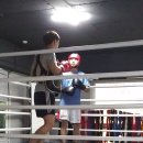 복싱체육관 이미지