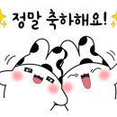 그림책으로 만나는 내면힐링 이미지