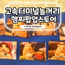 올스토어 - 진천군 | 고속터미널 놀거리 햄찌 팝업스토어 후기 굿즈 현장 웨이팅 포토존 총정리