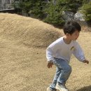 아양사랑숲 이미지