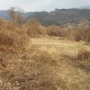 안성면104 이미지