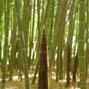 쉬어가는곳 이미지