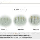 김수균외과의원 이미지