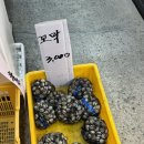 가온축산&amp;캐슬장터 울산달동점 오픈방문기! 삼겹살,목살이100G에 1480원!?