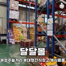 간식창고 | 청주놀거리 대형간식창고 문구 완구 달달몰 상세후기