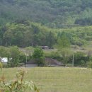 웰컴투오미골 이미지