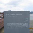 동진포 석축나루터 이미지