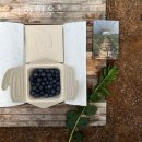 우하하농장 이미지