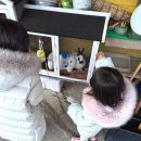 로렌시아펜션 | [가평] 아이와 함께 가평 로렌시아펜션 가평온수풀펜션