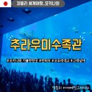 pet10어1440 | 오키나와 가볼만한곳 북부투어 고래상어 '만좌모 코우리대교 추라우미수족관'