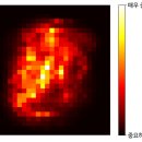 알지니포레스트 이미지