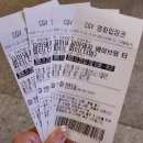 베이브 | 따뜻한 우정과 성장이야기, 꼬마 돼지 베이브와 타피티 관람 후기