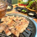 일미 숯불고추장삼겹살 이미지