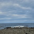 EDS 나라셀프세차 | [3/4]둘 째날 애월 씹고 뜯고 즐기기/장인의집/지름집/제주당