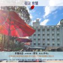 난터우 여행, 깅고 호텔 추천 후기: 힐링 가득한 숙소