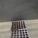 라이프트리 이미지