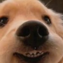 제주일상 이미지