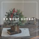 포항 양덕 꽃집 벨로아츠 - 원데이클래스 후기 (크리스마스 생화 콘트리 만들기 / 데이트 &amp; 태교활동 추천)