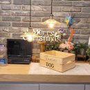 아담스펫 강아지분양 고양이분양 창원점 이미지