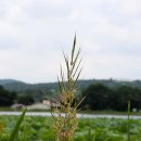 운대2리 이미지