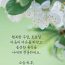 10월 12일 토요일 미래 정 대문 오픈 합니다 이미지