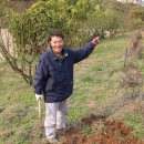 잉꼬농장 이미지